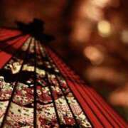 ヒメ日記 2025/04/13 23:26 投稿 あつこ 性腺熟女100％（デリヘル市場）