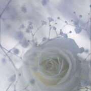 ヒメ日記 2025/04/25 09:16 投稿 あつこ 性腺熟女100％（デリヘル市場）