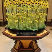 ヒメ日記 2025/07/11 21:25 投稿 あつこ 性腺熟女100％（デリヘル市場）