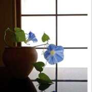 ヒメ日記 2025/08/19 12:12 投稿 あつこ 性腺熟女100％（デリヘル市場）