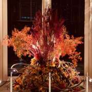 ヒメ日記 2025/11/21 20:18 投稿 あつこ 性腺熟女100％（デリヘル市場）