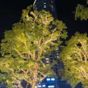 ヒメ日記 2025/12/10 21:06 投稿 あつこ 性腺熟女100％本店（デリヘル市場）