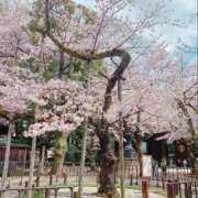 ヒメ日記 2026/03/26 12:23 投稿 あつこ 性腺熟女100％（デリヘル市場）