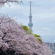 ヒメ日記 2026/04/01 14:44 投稿 あつこ 性腺熟女100％本店（デリヘル市場）