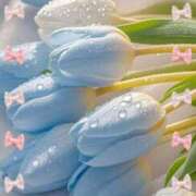 ヒメ日記 2025/04/28 16:53 投稿 いろは 性腺熟女100％（デリヘル市場）