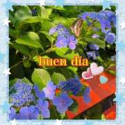 ヒメ日記 2025/06/17 09:54 投稿 いろは 性腺熟女100％（デリヘル市場）