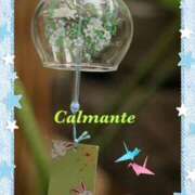 ヒメ日記 2025/07/03 14:05 投稿 いろは 性腺熟女100％（デリヘル市場）