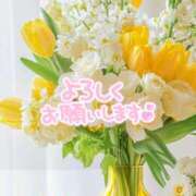 ヒメ日記 2025/08/15 09:53 投稿 いろは 性腺熟女100％（デリヘル市場）