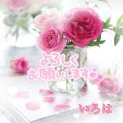 ヒメ日記 2025/09/05 15:05 投稿 いろは 性腺熟女100％（デリヘル市場）