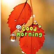 ヒメ日記 2025/10/28 10:09 投稿 いろは 性腺熟女100％（デリヘル市場）