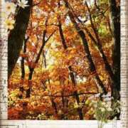 ヒメ日記 2025/11/10 13:31 投稿 いろは 性腺熟女100％（デリヘル市場）