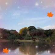 ヒメ日記 2025/12/04 15:29 投稿 いろは 性腺熟女100％（デリヘル市場）