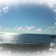 ヒメ日記 2025/12/11 12:23 投稿 いろは 性腺熟女100％本店（デリヘル市場）