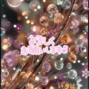 ヒメ日記 2025/12/20 17:06 投稿 いろは 性腺熟女100％本店（デリヘル市場）