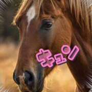 ヒメ日記 2026/01/07 14:43 投稿 いろは 性腺熟女100％本店（デリヘル市場）