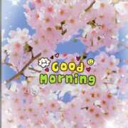 ヒメ日記 2026/04/01 09:00 投稿 いろは 性腺熟女100％本店（デリヘル市場）