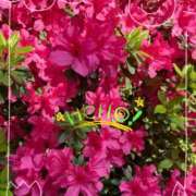 ヒメ日記 2026/04/14 14:13 投稿 いろは 性腺熟女100％本店（デリヘル市場）