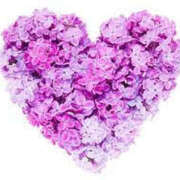 ヒメ日記 2025/07/27 07:23 投稿 こなつ 性腺熟女100％（デリヘル市場）