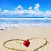 こなつ 御礼日記2 性腺熟女100％（デリヘル市場）