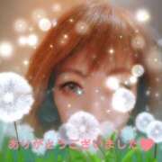 ヒメ日記 2025/01/04 15:31 投稿 なつき 性腺熟女100％（デリヘル市場）