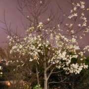 ヒメ日記 2026/03/17 12:27 投稿 まこと 性腺熟女100％（デリヘル市場）