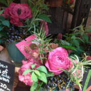 ヒメ日記 2025/06/01 11:52 投稿 かほ 性腺熟女100％（デリヘル市場）