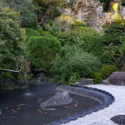 ヒメ日記 2025/08/10 10:44 投稿 かほ 性腺熟女100％（デリヘル市場）