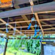 ヒメ日記 2025/08/24 08:08 投稿 かほ 性腺熟女100％（デリヘル市場）