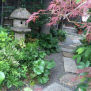 ヒメ日記 2025/12/28 13:49 投稿 かほ 性腺熟女100％本店（デリヘル市場）