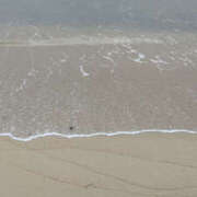 ヒメ日記 2026/01/17 09:40 投稿 かほ 性腺熟女100％本店（デリヘル市場）