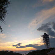 ヒメ日記 2026/01/31 12:54 投稿 かほ 性腺熟女100％本店（デリヘル市場）