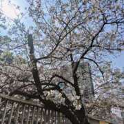 ヒメ日記 2026/03/30 13:52 投稿 なつみ 性腺熟女100％本店（デリヘル市場）