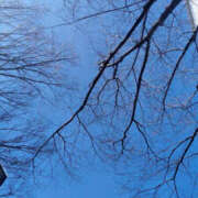 ヒメ日記 2025/02/01 09:33 投稿 あずみ 性腺熟女100％（デリヘル市場）