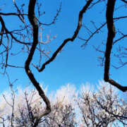 ヒメ日記 2025/02/22 08:07 投稿 あずみ 性腺熟女100％（デリヘル市場）