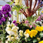 ヒメ日記 2025/02/25 08:52 投稿 あずみ 性腺熟女100％（デリヘル市場）