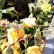 ヒメ日記 2025/03/05 08:41 投稿 あずみ 性腺熟女100％（デリヘル市場）