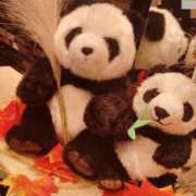 ヒメ日記 2025/09/04 09:33 投稿 あずみ 性腺熟女100％（デリヘル市場）