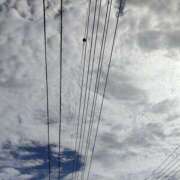 ヒメ日記 2025/09/21 09:35 投稿 あずみ 性腺熟女100％（デリヘル市場）