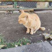 ヒメ日記 2026/01/10 15:15 投稿 あずみ 性腺熟女100％本店（デリヘル市場）