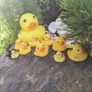 ヒメ日記 2026/01/29 09:44 投稿 あずみ 性腺熟女100％本店（デリヘル市場）