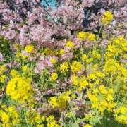 ヒメ日記 2026/02/28 09:45 投稿 あずみ 性腺熟女100％（デリヘル市場）