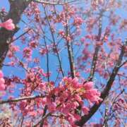 ヒメ日記 2026/03/07 08:55 投稿 あずみ 性腺熟女100％本店（デリヘル市場）