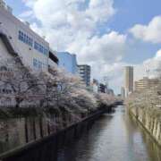 ヒメ日記 2026/03/28 10:30 投稿 あずみ 性腺熟女100％（デリヘル市場）