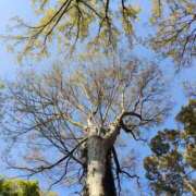 ヒメ日記 2026/04/05 14:30 投稿 あずみ 性腺熟女100％本店（デリヘル市場）