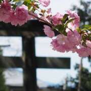 ヒメ日記 2025/03/27 00:26 投稿 ひとみ 性腺熟女100％（デリヘル市場）