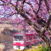 ヒメ日記 2025/03/30 14:57 投稿 ひとみ 性腺熟女100％（デリヘル市場）