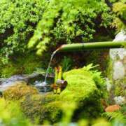 ヒメ日記 2025/06/21 00:19 投稿 ひとみ 性腺熟女100％（デリヘル市場）