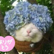 ヒメ日記 2025/06/06 10:24 投稿 くみこ 性腺熟女100％（デリヘル市場）