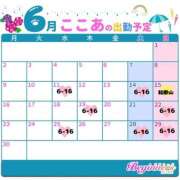 ここあ 6月後半のシフト♡ ビギナーズ神戸