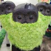 ヒメ日記 2025/01/05 11:08 投稿 ゆの 池袋風俗　池袋いきなりビンビン伝説